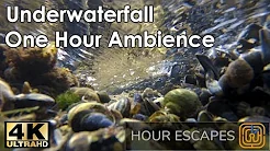 4K Underwater Stream  One Hour Ambient Video and Audio
