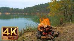 4K Campfire Scene AUTUMN FLAMES in Ultra HD with Crackling Fire Sounds 1 Hour for Relaxation